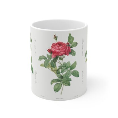 A sophisticated red Rosa Gallica on a white porcelain cup front view