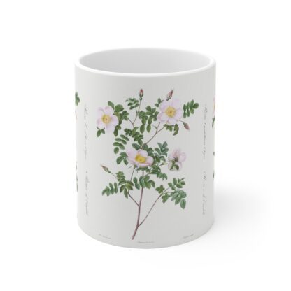 A plain wild Burnet rose on a white porcelain cup - front view