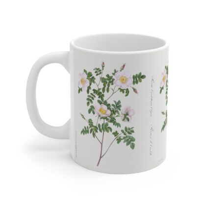 A plain wild Burnet rose on a white porcelain cup - handle left