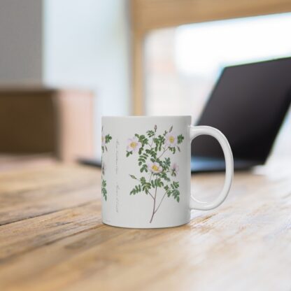 A pretty wild Burnet rose on a white porcelain cup that stands on a desk